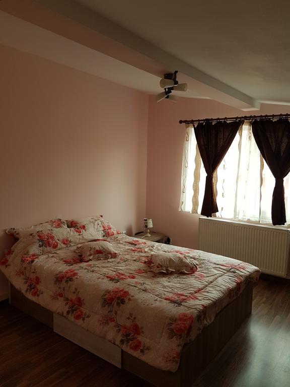 Amma Daire Braşov Dış mekan fotoğraf