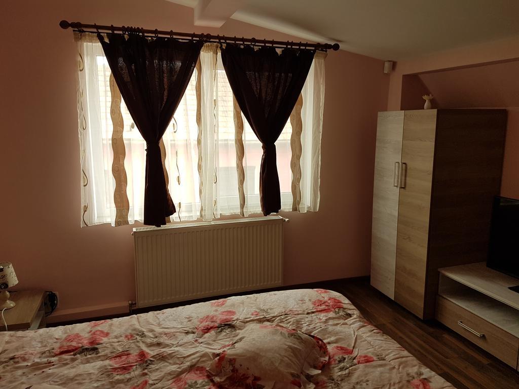 Amma Daire Braşov Dış mekan fotoğraf