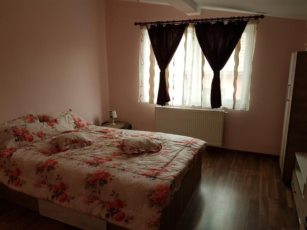 Amma Daire Braşov Dış mekan fotoğraf